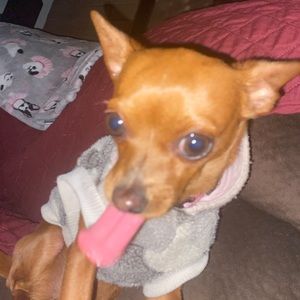 Meet your Posher, Kai